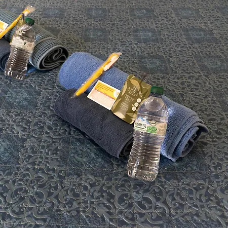 La Fenice A.c. Bologna